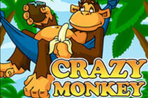 Crazy_Monkey